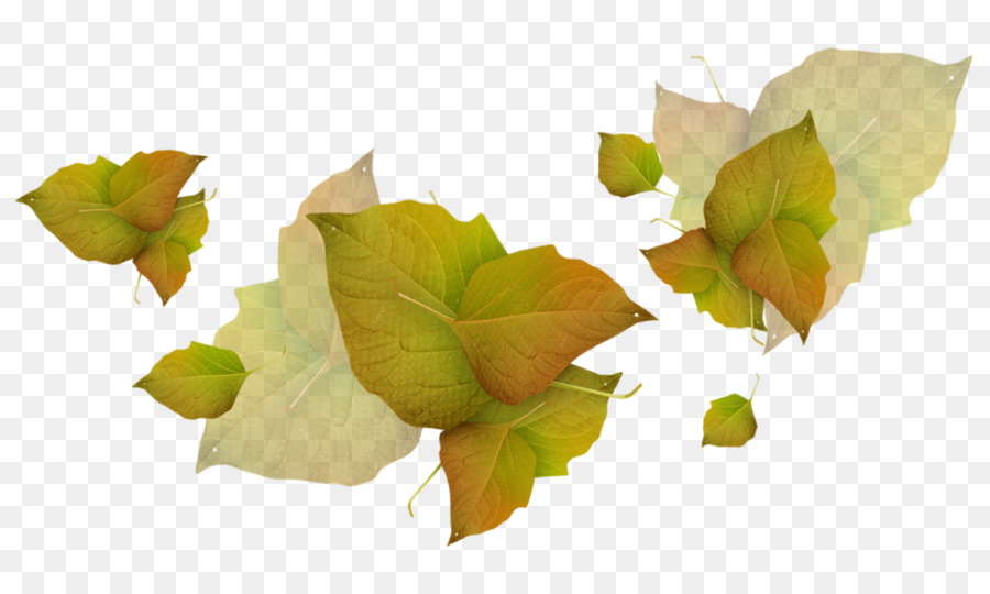 Hoja，Otoño PNG