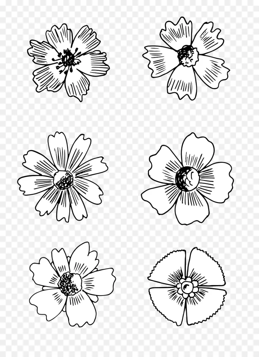 Diseño Floral，Cuadro PNG