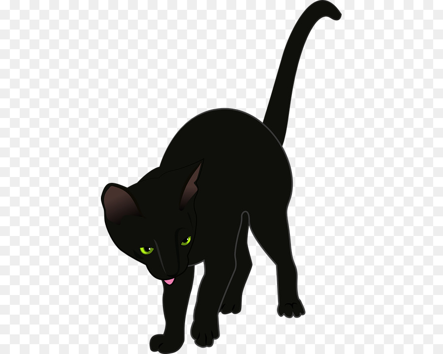 Gato，Dibujo PNG