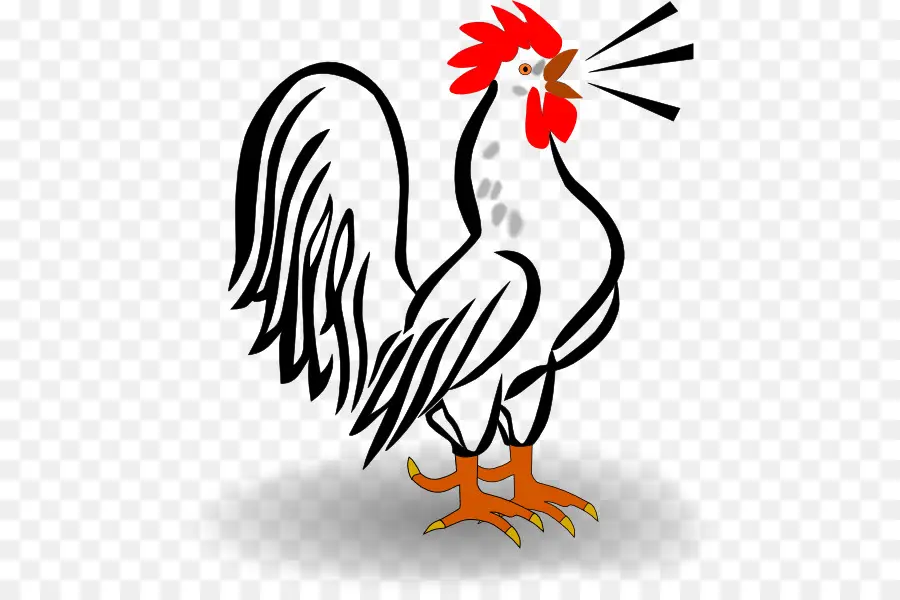 Gallo，Blanco PNG