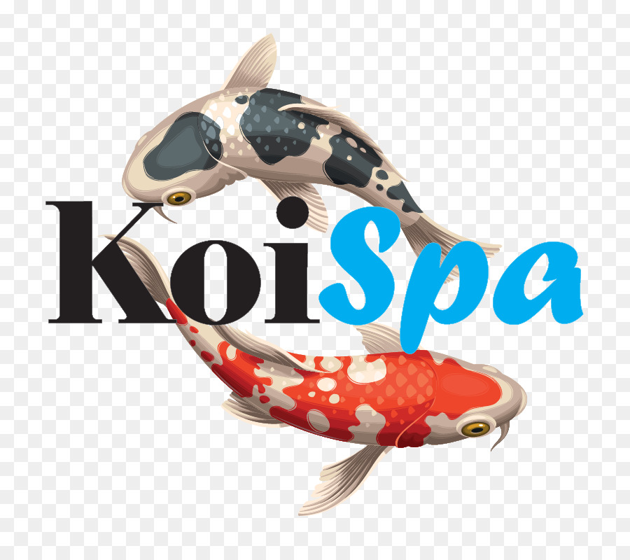 Koi，Cortina PNG