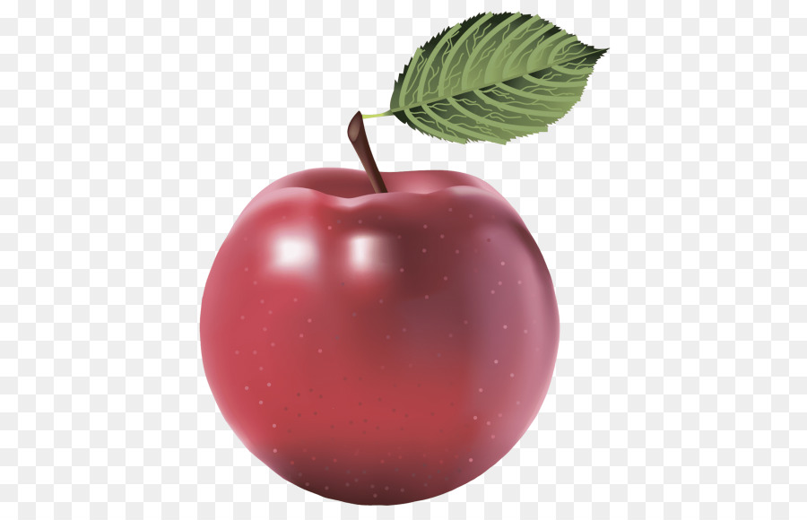 Manzana，Ipod Touch PNG