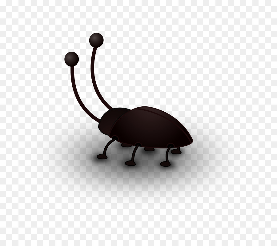 Cucaracha，Escarabajo PNG