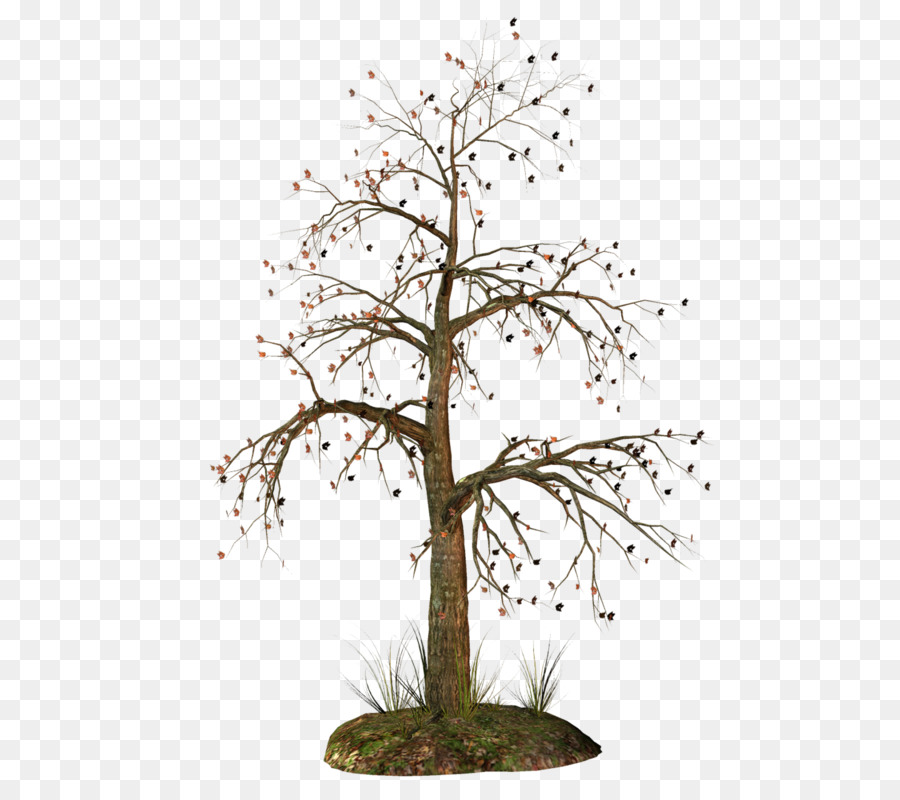 árbol，Trompa PNG