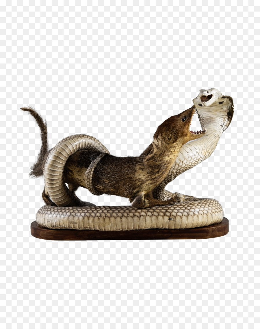 Las Serpientes，Reptiles PNG