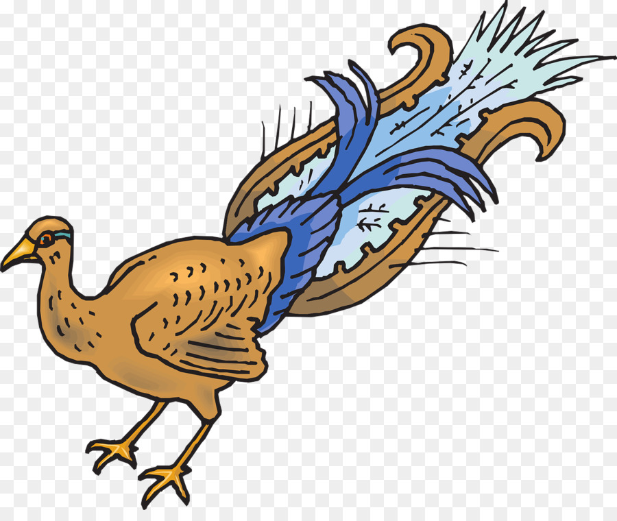 Pollo，Pluma PNG