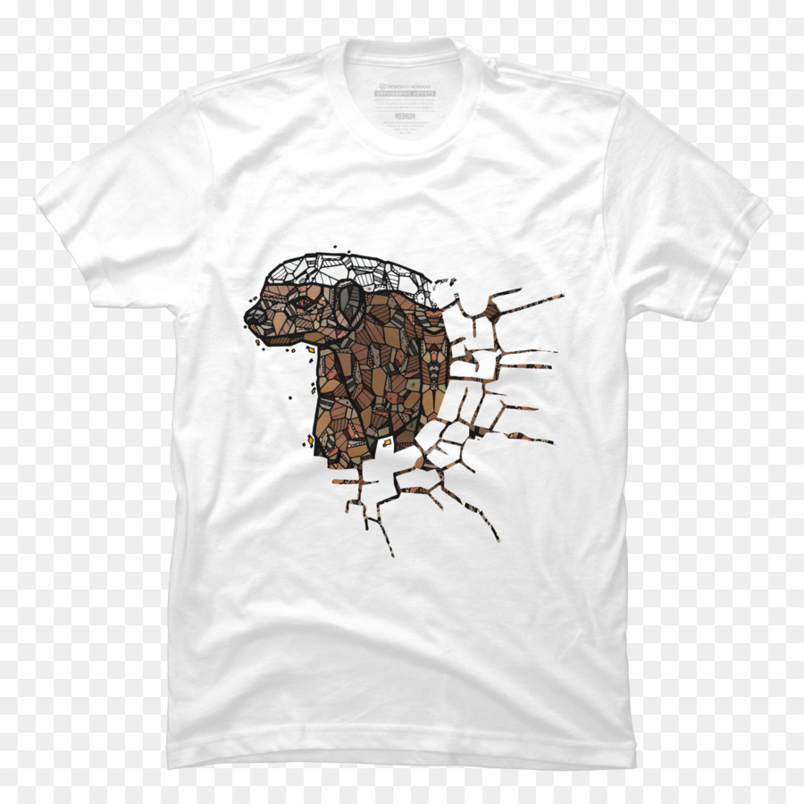 Camiseta，Tortuga PNG