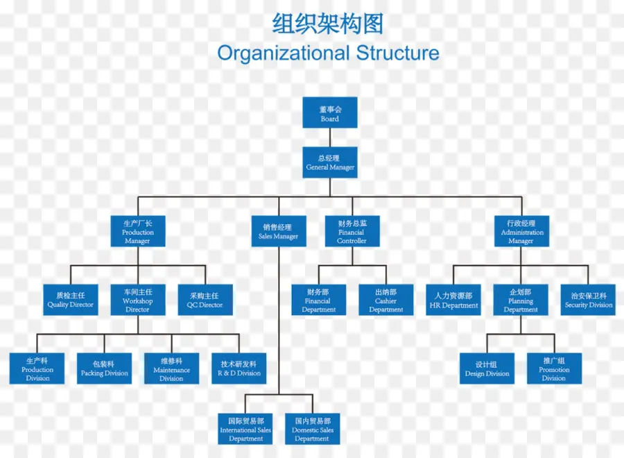 Organización，Estructura Organizativa PNG