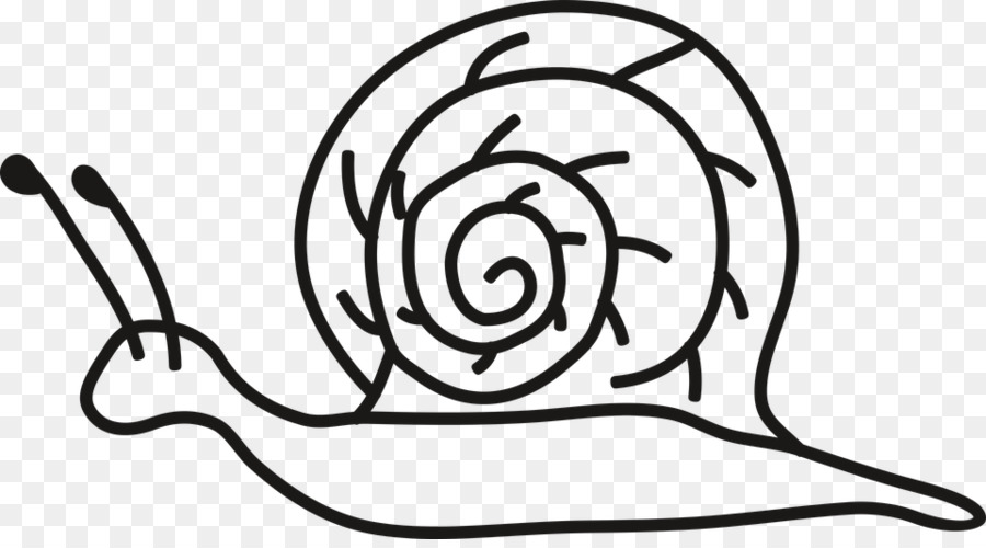 Caracol，Dibujo PNG