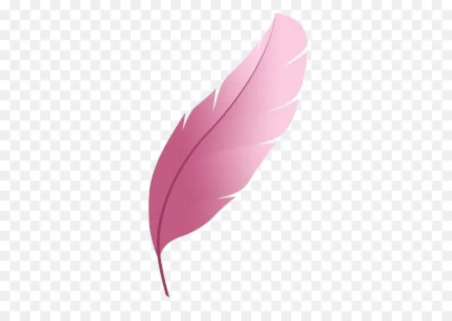 Pluma Rosa，Suave PNG