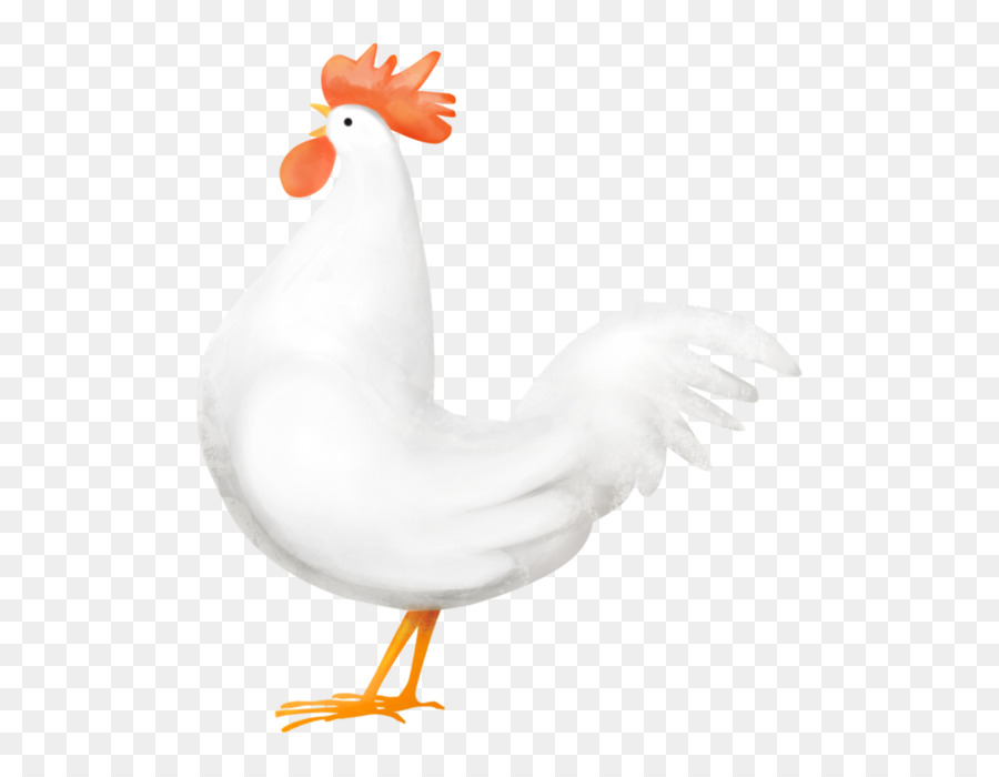 Gallo，Pollo PNG