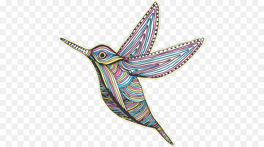 Pájaro，Colibri PNG