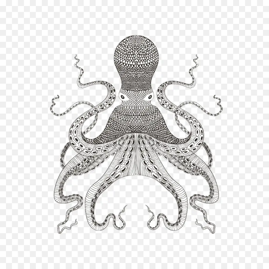 Pulpo，Tentáculos PNG