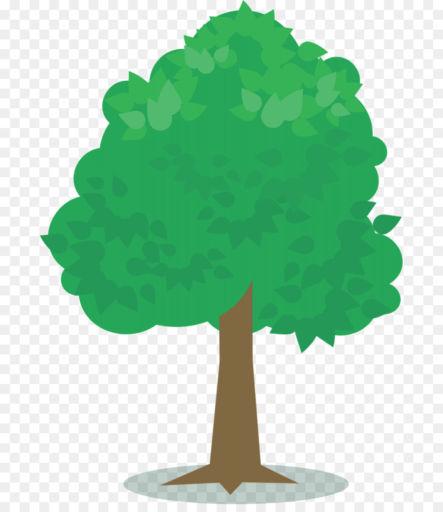 árbol，Camiseta PNG