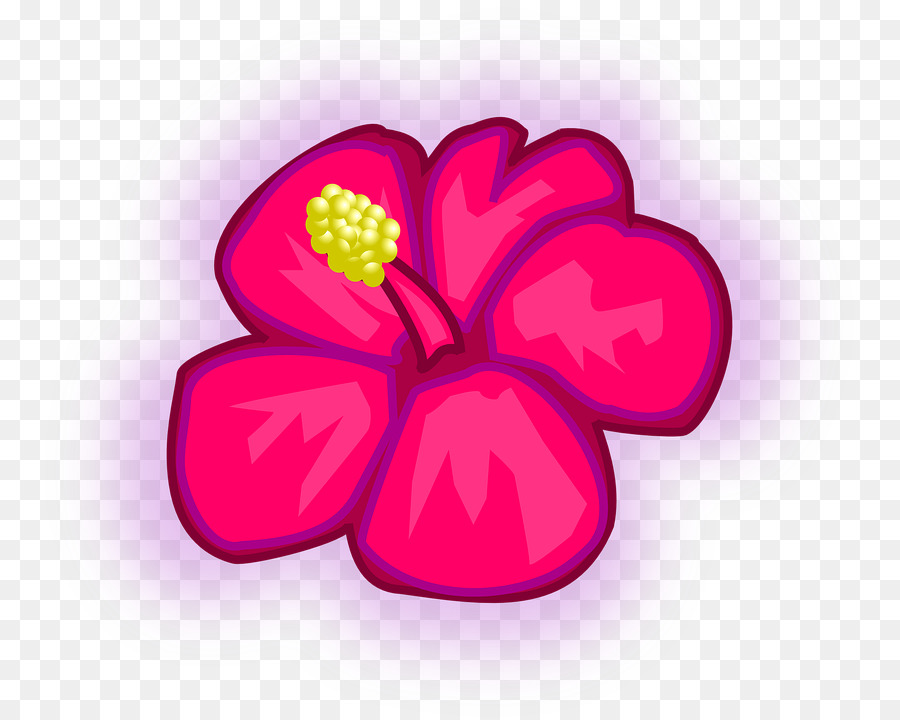 Hawai，Lei PNG