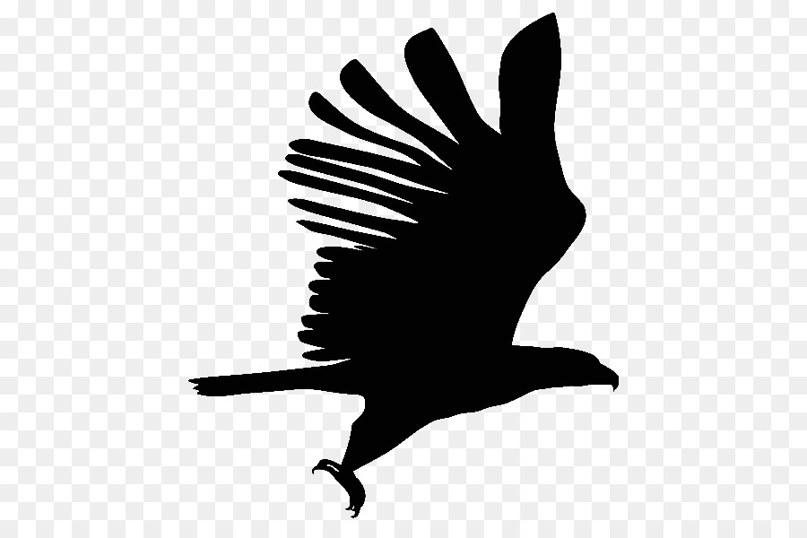 Pájaro Negro，Vuelo PNG