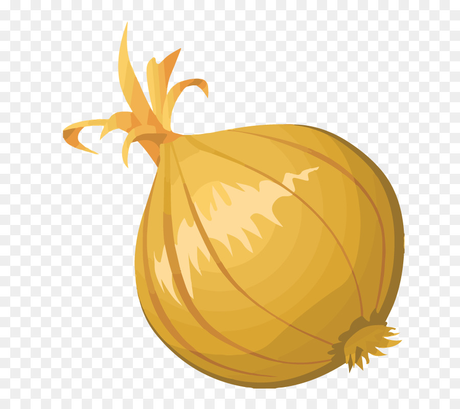 Cebolla，Cocina Afgana PNG