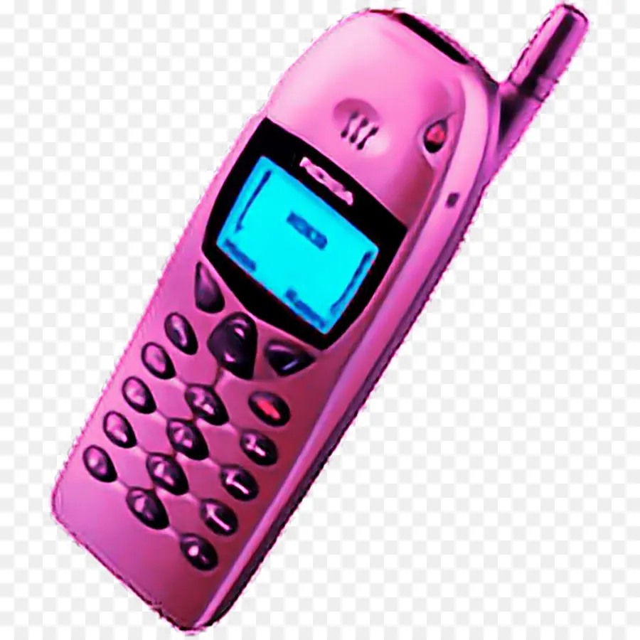 Nokia 6110，Nokia 6110 Navegador PNG