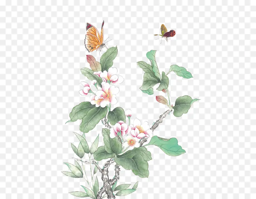 Mariposas Y Flores，Hojas PNG