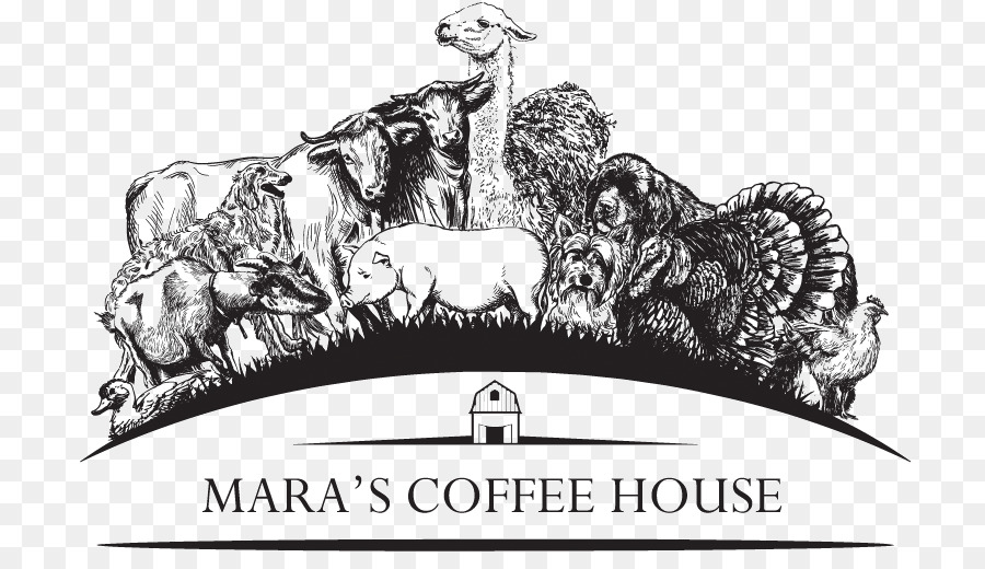 Mara De La Casa Del Café，Cafe PNG