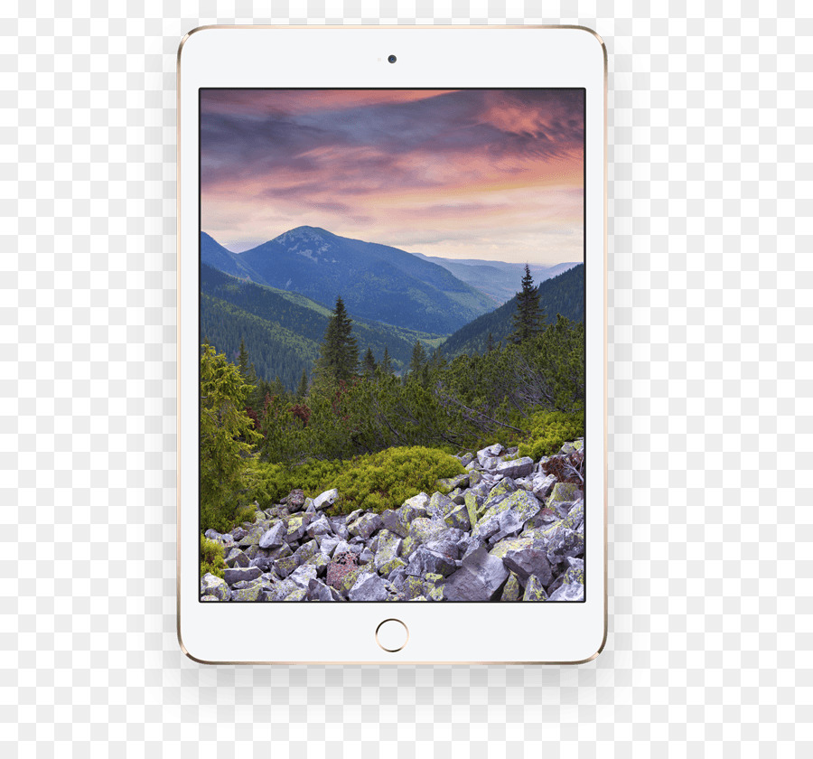 Ipad Mini 3，Ipad Mini 4 PNG