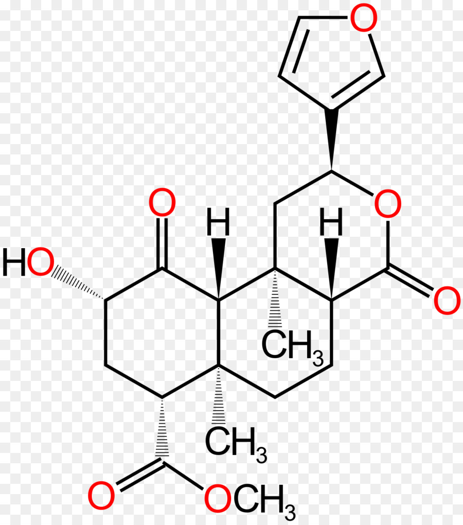 La Salvia De Los Adivinos，La Salvinorina A PNG