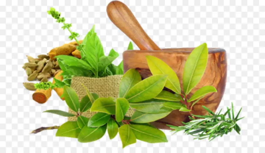 Ayurveda，Curación Ayurvédica PNG