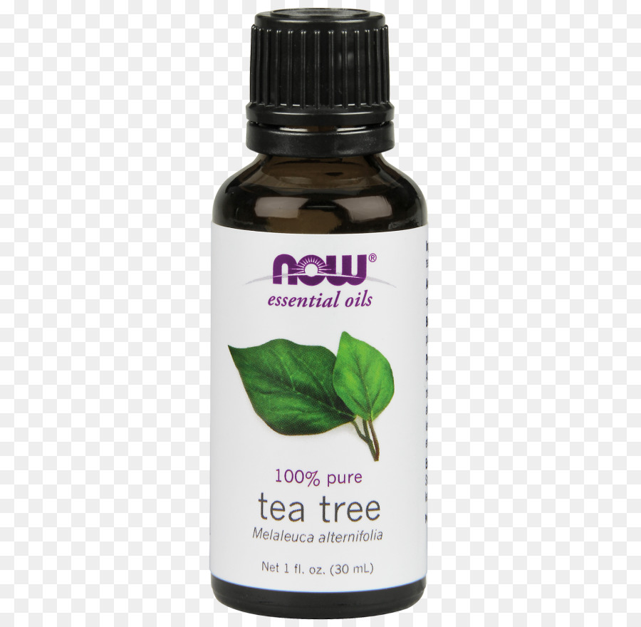 Aceite Esencial，Aceite De árbol De Té PNG
