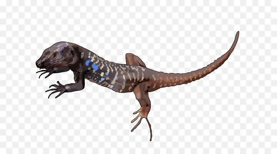 Lagarto，Cola PNG