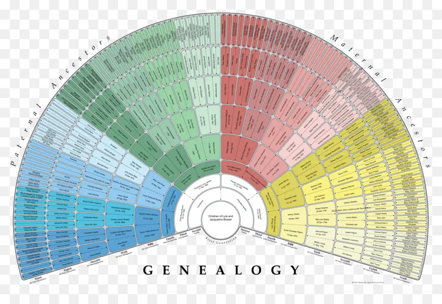 Genealogía，árbol De La Familia PNG