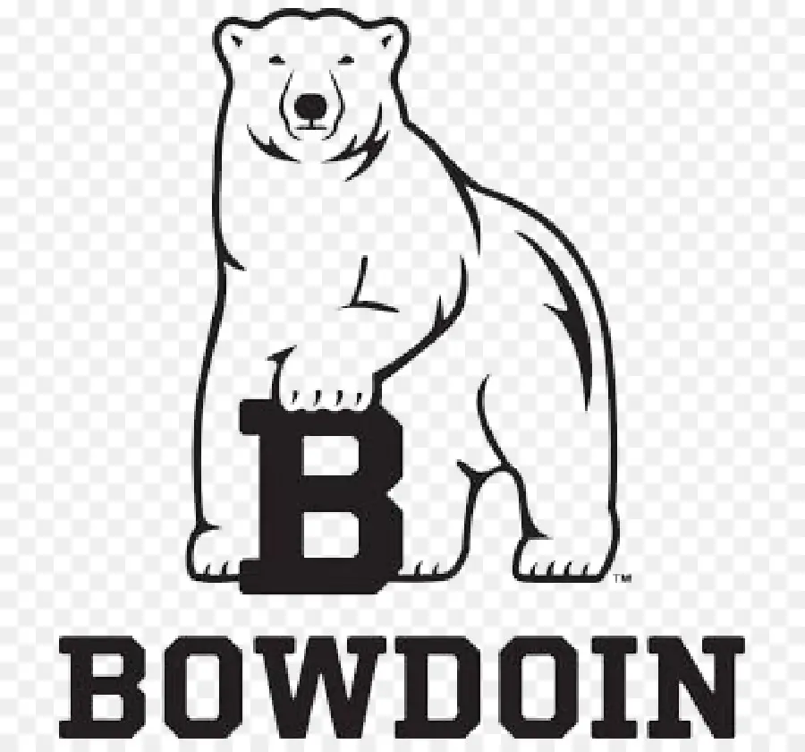 Colegio Bowdoin，Bowdoin Polar Bears Football PNG