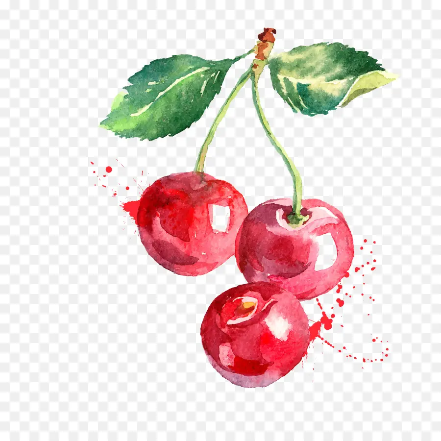 Pintura De Acuarela，Cereza PNG