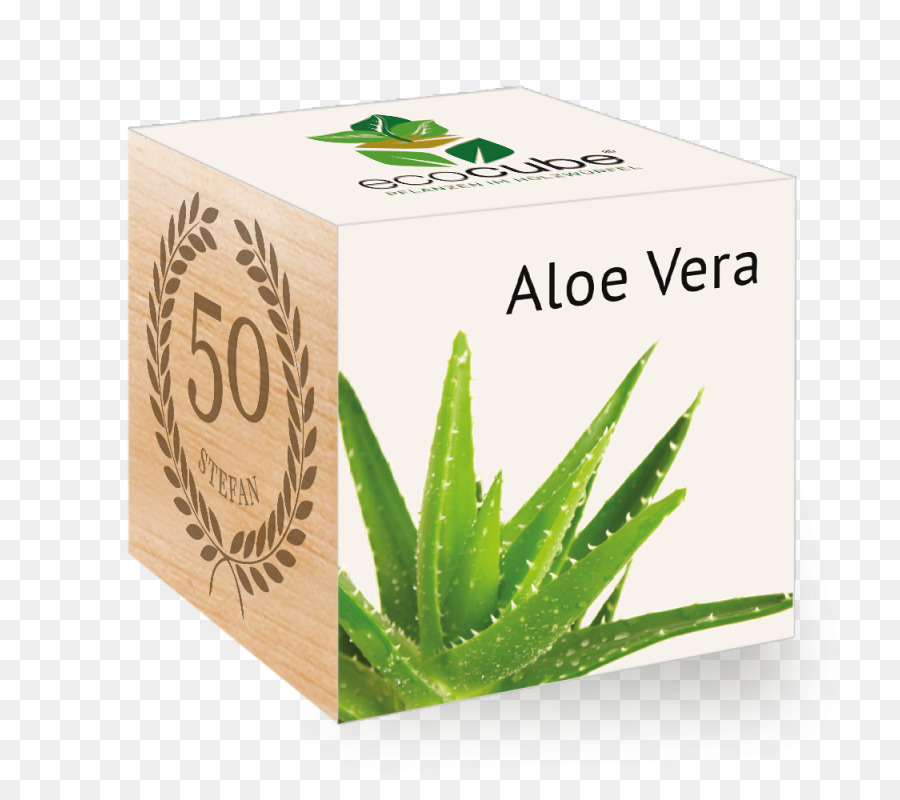 Aloe Vera，Las Plantas PNG