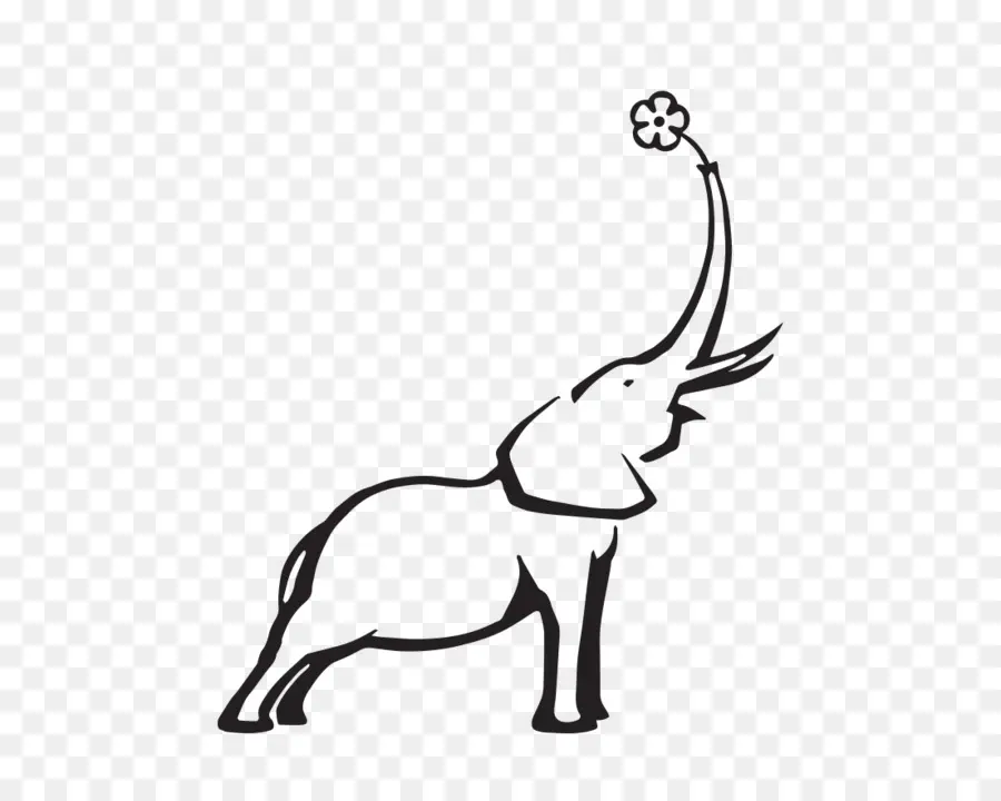 Elefante，Flor PNG