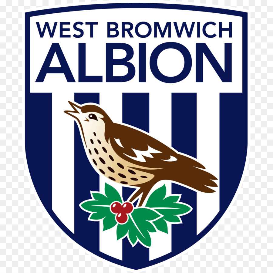 West Bromwich Albión，Fútbol Americano PNG