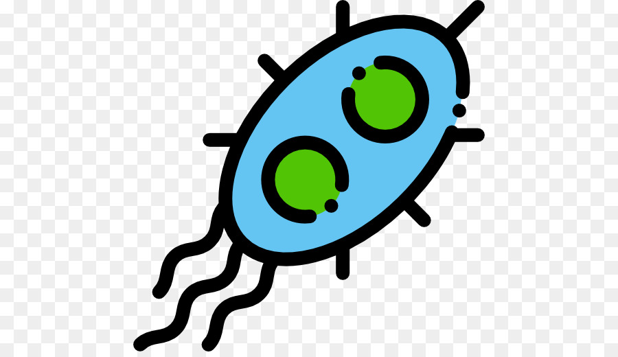 Bacterias，Microbio PNG