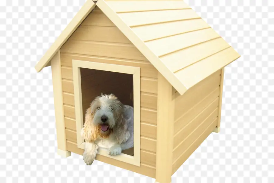 Casa Para Perros，Perro PNG