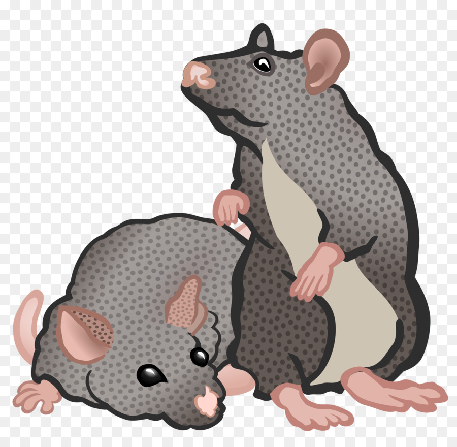 Ratón，Rata PNG