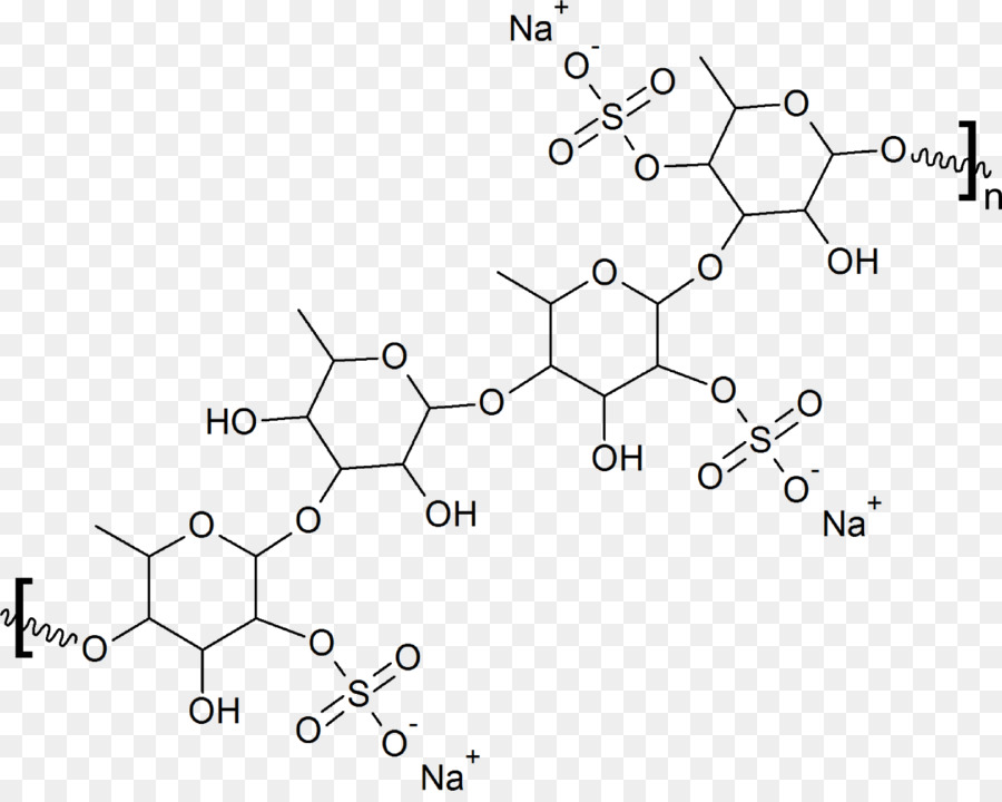 Estructura Química，Molécula PNG