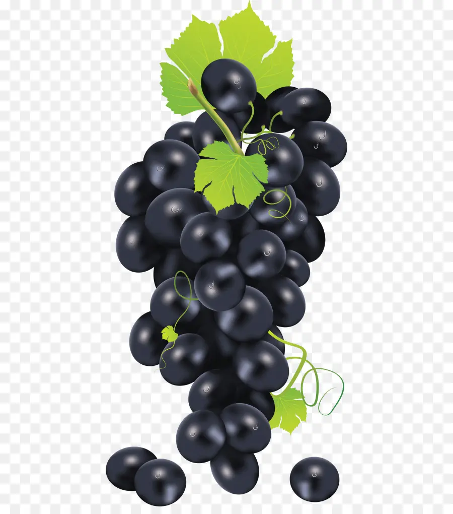 Uvas Rojas，Enredadera PNG