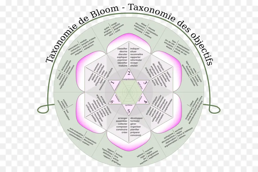 Taxonomía De Bloom，Objetivos PNG