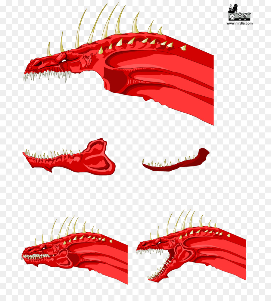 Cabeza De Dragón，Mítico PNG