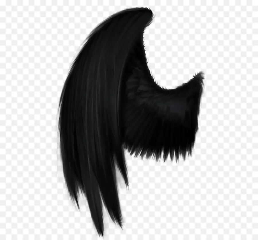 Ala Negra，Pluma PNG