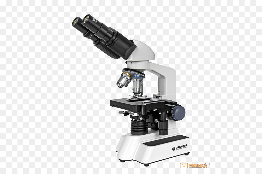 Microscopio，Ciencia PNG