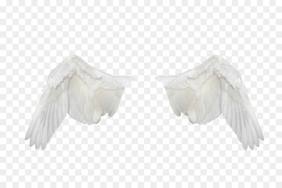 Alas De ángel，Fantasía PNG