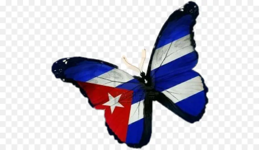 Cuba，Bandera De Cuba PNG