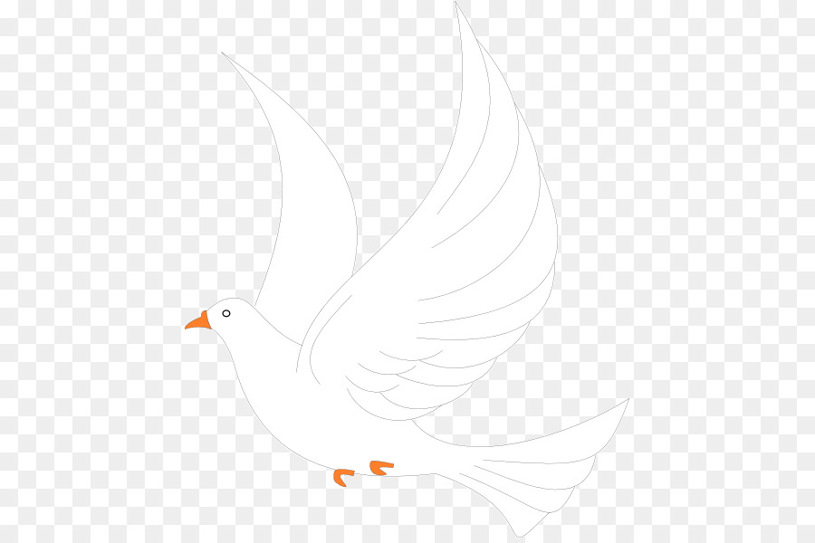 Pico，Pluma PNG