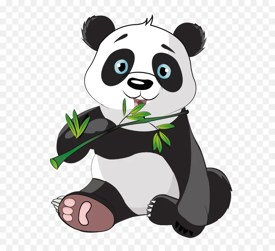 Panda，Bambú PNG