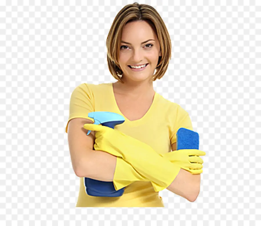 Señora De La Limpieza，Limpiador PNG