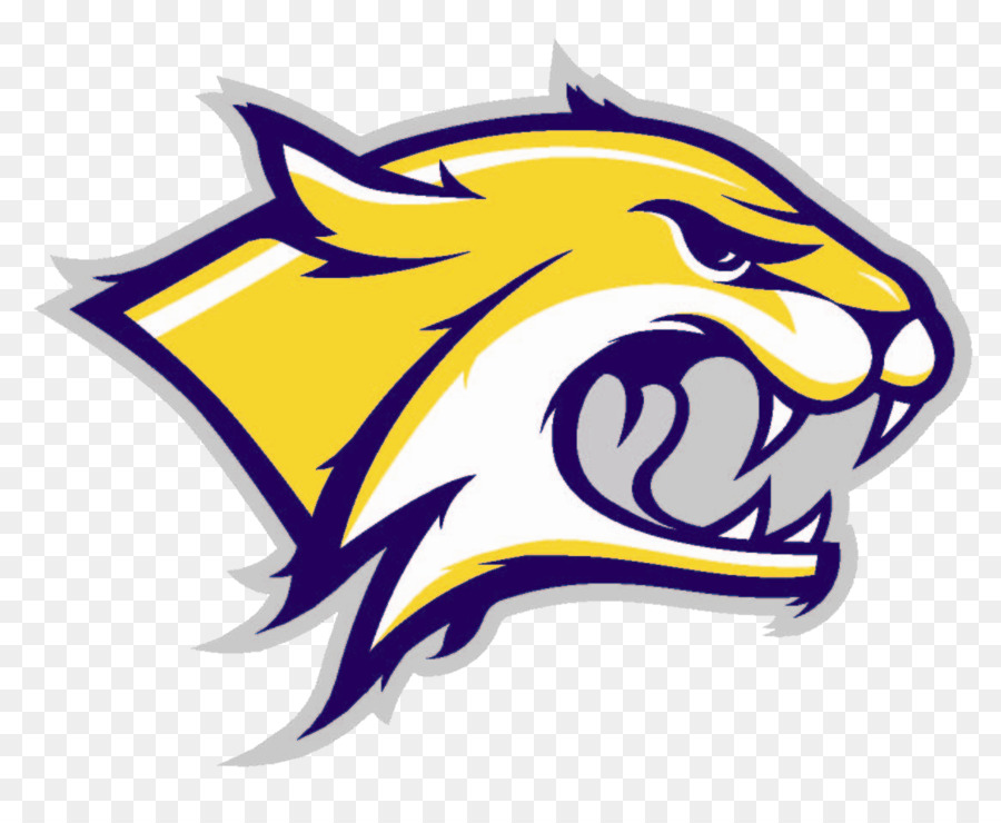 La Universidad De New Hampshire，New Hampshire Wildcats Fútbol PNG